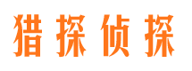 雅安侦探公司